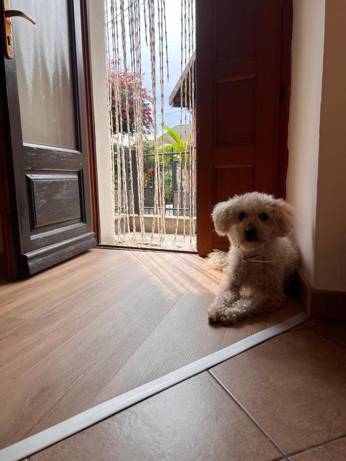 Apartment Ca Dai Noni Feriolo Dış mekan fotoğraf