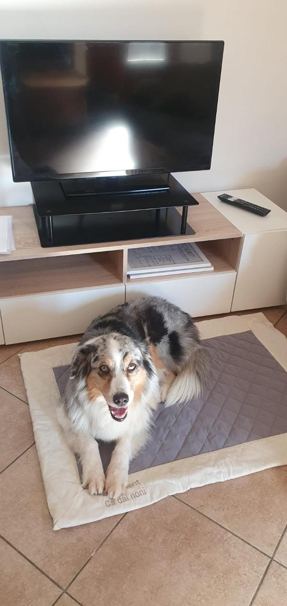 Apartment Ca Dai Noni Feriolo Dış mekan fotoğraf