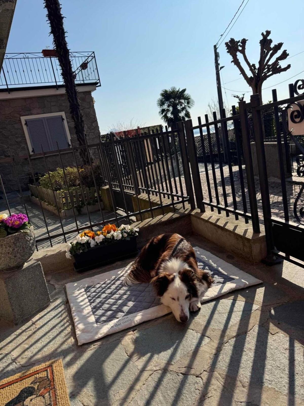Apartment Ca Dai Noni Feriolo Dış mekan fotoğraf